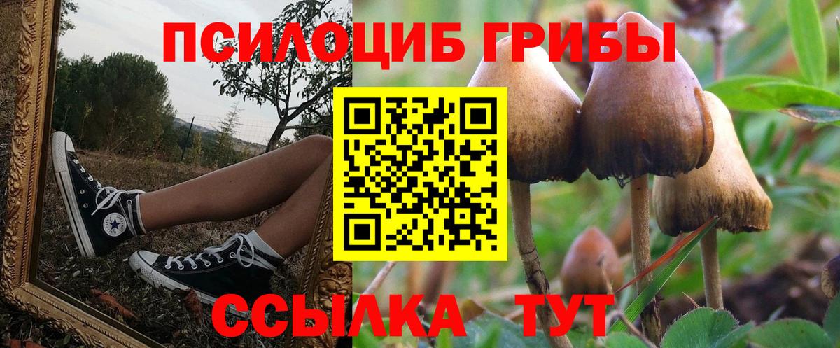 Псилоцибиновые грибы GOLDEN TEACHER  Псилоцибиновые грибы Psilocybine cubensis  Лобня  наркота  Вход с VPN 