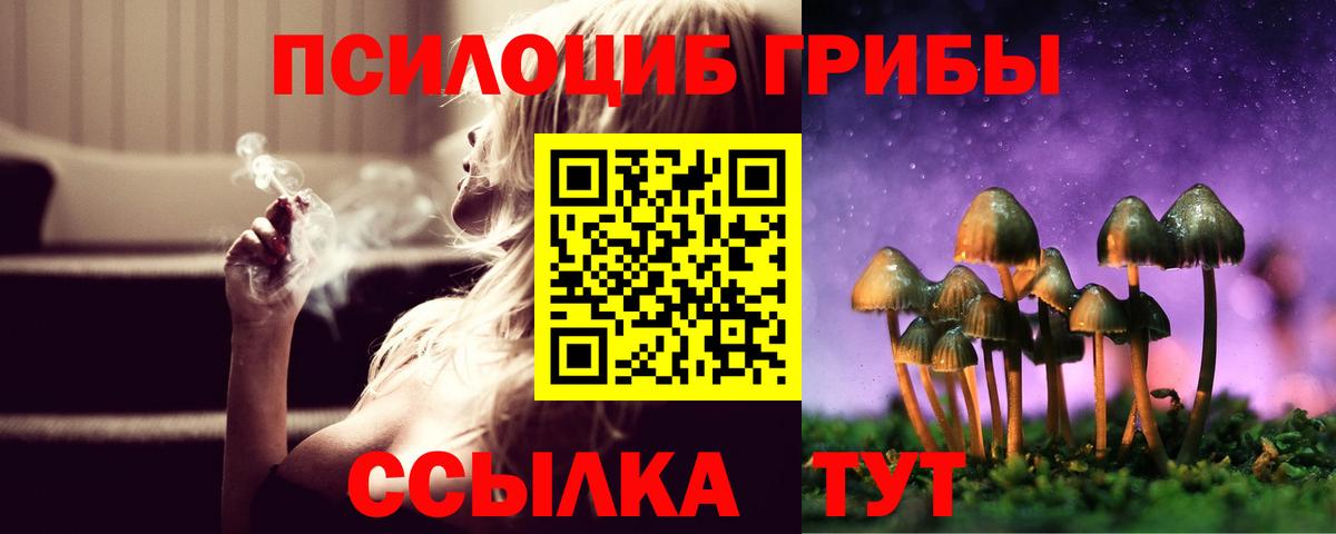 Галлюциногенные грибы Psilocybe Лобня